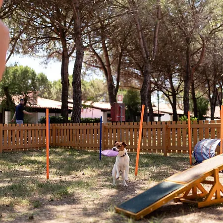 Punta Spin Tatil parkı