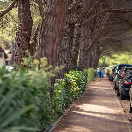 Holiday park Punta Spin