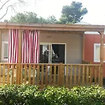 Punta Spin 4*