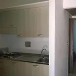 Punta Spin 4* גראדו