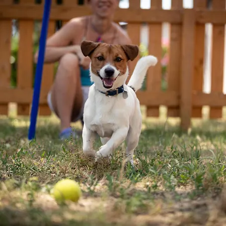 Punta Spin 4* グラード