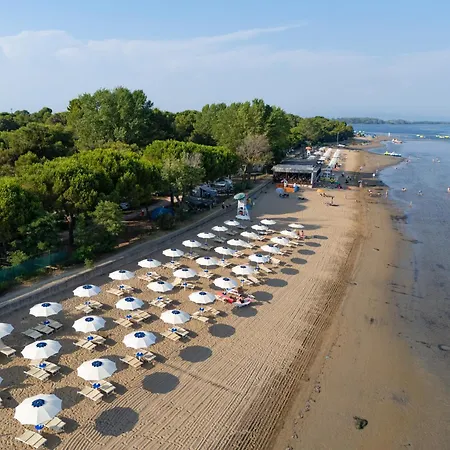 Punta Spin グラード