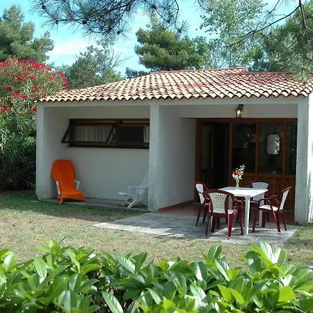 Punta Spin 4*