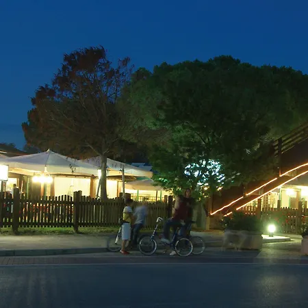 Punta Spin 4* Grado