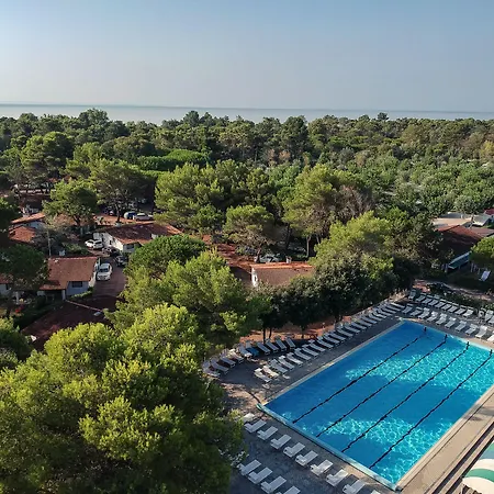 Punta Spin 4* Grado