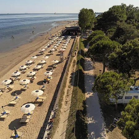 Punta Spin 4* Grado