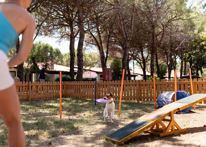 Punta Spin Üdülőpark