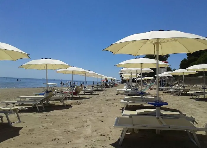 Üdülőpark Punta Spin Grado