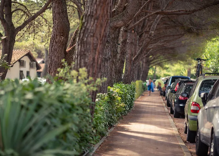 Üdülőpark Punta Spin